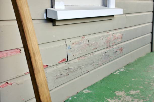 Best Dumpster Rental Services  in USA
